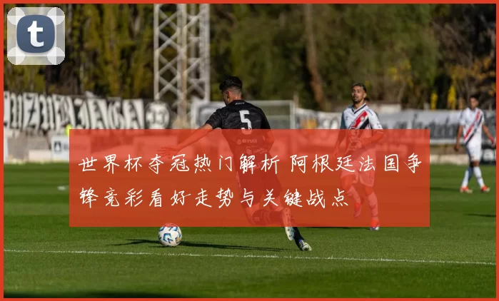 世界杯夺冠热门解析 阿根廷法国争锋竞彩看好走势与关键战点