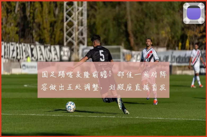 国足踢喀麦隆前瞻!邵佳一或对阵容做出五处调整,刘殿座直接首发