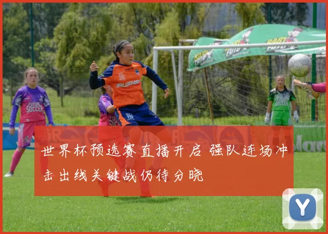 世界杯预选赛直播开启 强队连场冲击出线关键战仍待分晓