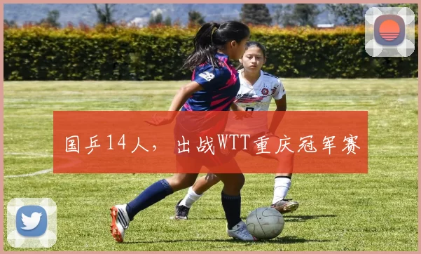 国乒14人,出战WTT重庆冠军赛