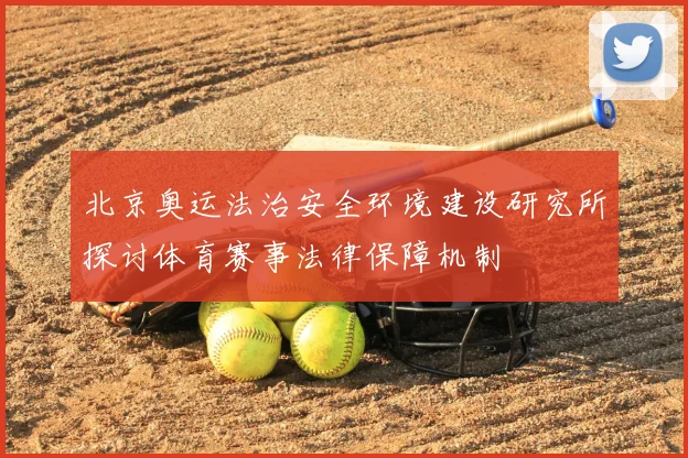 北京奥运法治安全环境建设研究所探讨体育赛事法律保障机制