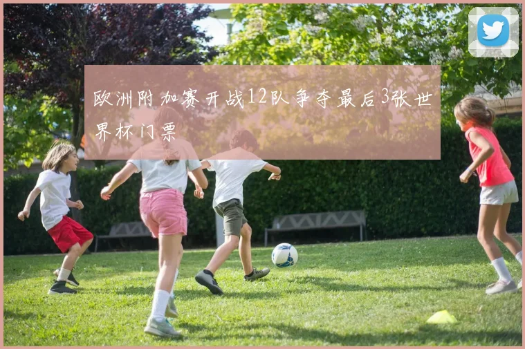 欧洲附加赛开战12队争夺最后3张世界杯门票