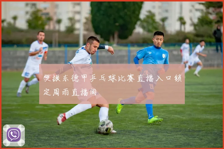 樊振东德甲乒乓球比赛直播入口锁定周雨直播间
